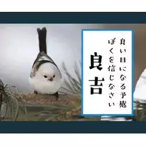 ひな