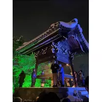 宝條 夏恋