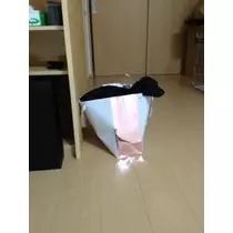 りえ