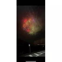 なこ