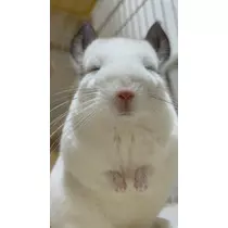 みらい