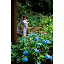 花咲 るり