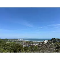 美月