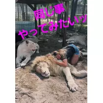 美穂