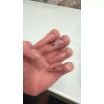 猫羽 のん