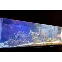 りょう