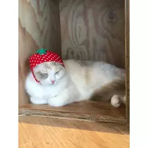 華