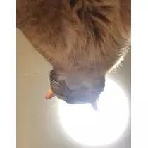 ゆうな
