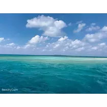 愛羽 仁美