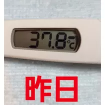 紫音