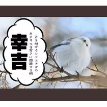 ひな