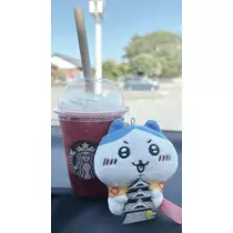 ぱき