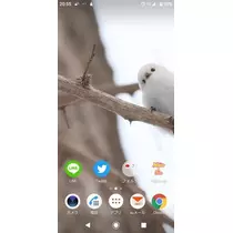 ひな