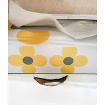 紫音
