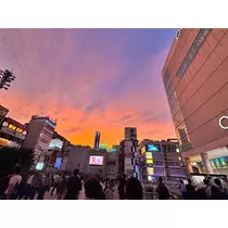 いる