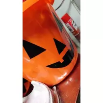 ひな