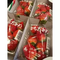 日向 茉莉