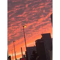 花咲 るり