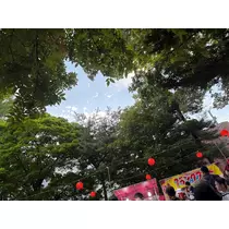 咲良 水月