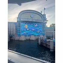 ミイ