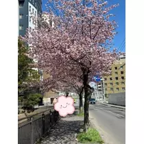 美月 れい