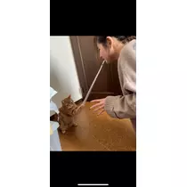 のぞみ