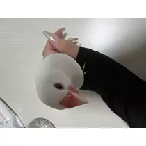 はるか