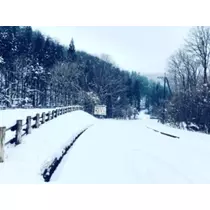 ゆかり