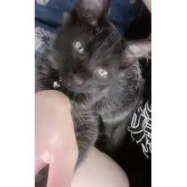 いちご