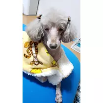 荒木 ナツミ