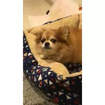 片桐 さやか