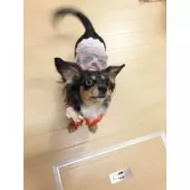 美月 あいみ