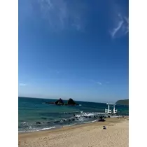 紬 むぎ