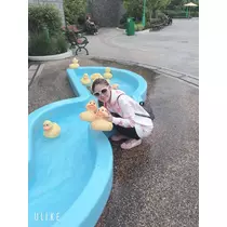 姫花