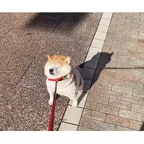 ゆな