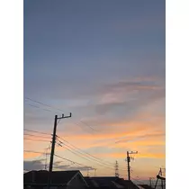 せいか