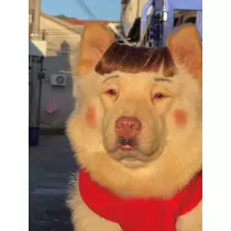 こう