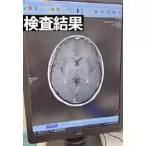 紫音