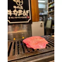 由依