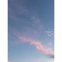 美咲 のばら