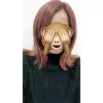 あいか