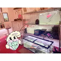 なな