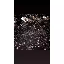 響