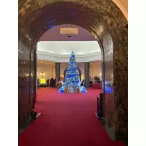 七海 結愛