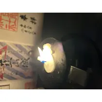 桜井 ちひろ