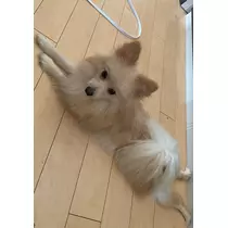 ことみ