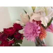 椿