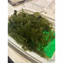 かびるんるんさわ