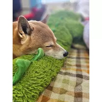 Mika