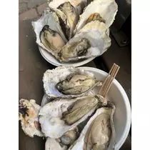 綾瀬 優